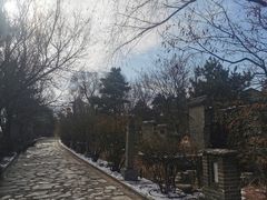 -爱新觉罗皇家博物院