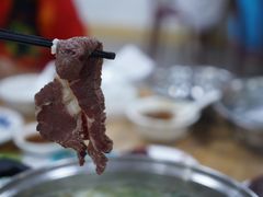 -原野牛肉岛
