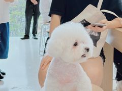 -Apple零售店(成都太古里店)