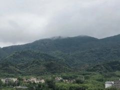 -传说中那条蛋散