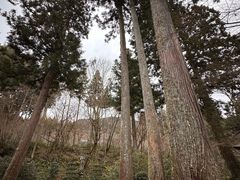 -三千院