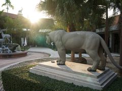 -清迈夜间动物园