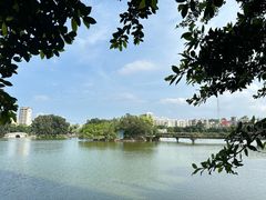 -OLD TREE老树咖啡·西餐厅(台山人工湖店)