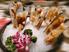 -汤城·料青山
