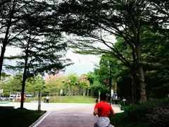 -光明港公园