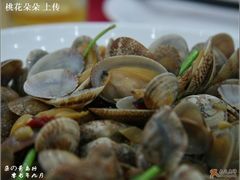 辣炒蛤蜊-海岛渔村大酒店(云霄路店)