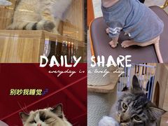 -猪盟咖啡店(玖洲道店)