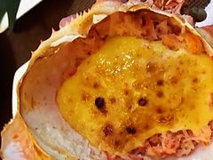 -福樱兰海鲜放题铁板烧(加州店)