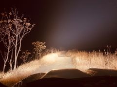 -仁爱团泊湖温泉中心