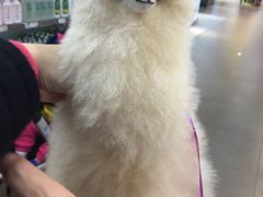 -外高桥超市