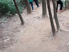 -灵岩山风景区