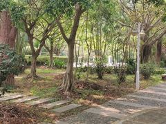 -滴水岩森林公园