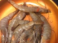 -真熙家牛排烤肉无限续(百脑汇店)