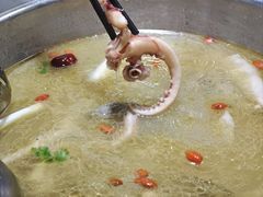-云鱿记鱿鱼鸡·野生菌火锅(人民南路店)