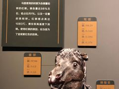 -闵行博物馆