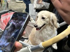 -香港会议展览中心演讲厅