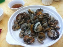 毛蛤蜊-海岛渔村大酒店(云霄路店)