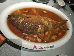 -阿五黄河大鲤鱼(英协路店)