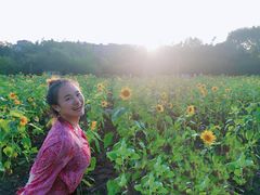 -贵阳市花溪国家城市湿地公园