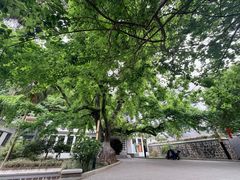 -广东温泉宾馆