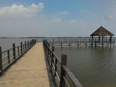 -瑶湖郊野森林公园