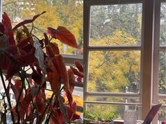 -雕刻时光咖啡馆(北师大店)