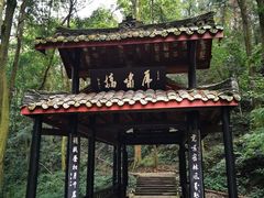 -峨眉山报国寺