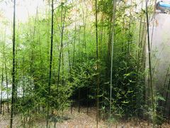 -曲廊院(东四十一条店)