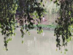 -怡海公园(桂城街道)