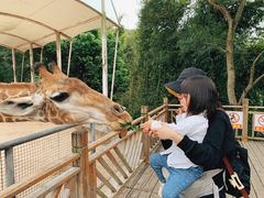 -泉州海丝野生动物世界