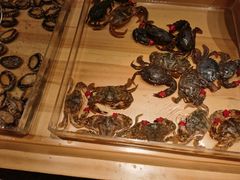 -清河半岛微风餐厅