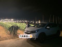 -硇洲岛旅游区