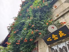 -金哥私房菜馆(张府园总店)