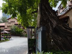 -静园(和平区)