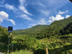 -大围山国家森林公园
