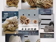 -中国地质博物馆