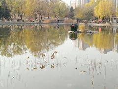 -太阳宫公园