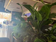 -COSTA COFFEE(丰联广场店)
