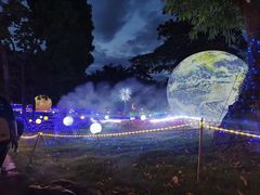 -广西壮族自治区药用植物园