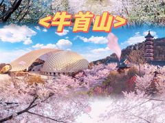 -回味鸭血粉丝汤(夫子庙瞻园路店)