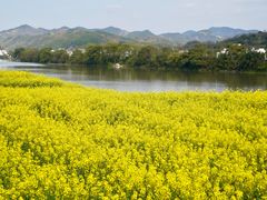-新安江山水画廊风景区