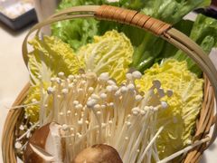 -同仁四季椰子鸡(福田东园总店)