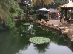 -厦门日月谷温泉渡假村