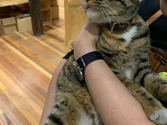 -猫的天空之城概念书店(杭州南宋御街店)