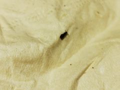 -JOYA湾悦国际酒店(世界之窗店)