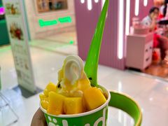 -Salud撒露欧洲冻酸奶(五道口购物中心店)