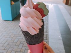 -麦当劳(金桥店)