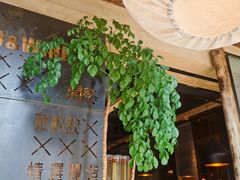 -薇酌饮·陕西菜(南门外店)