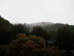 -老幺泉水鸡