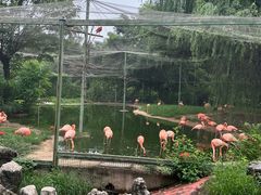 -石家庄市动物园